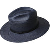 Avion