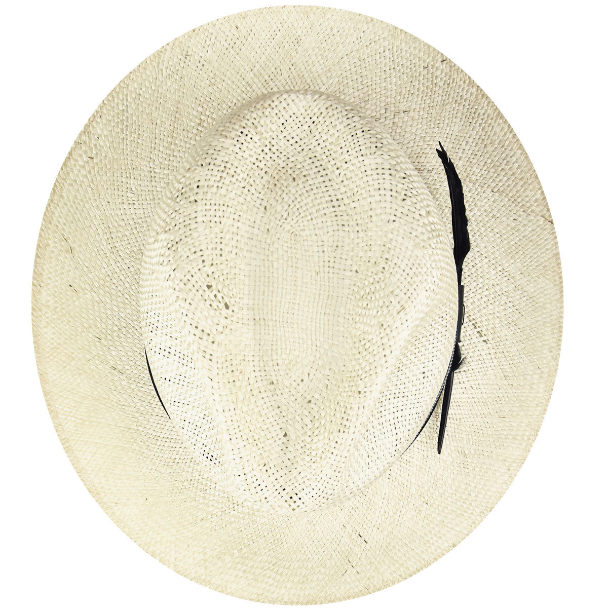 Bailey 1922 Braylon Fedora - Bailey Western